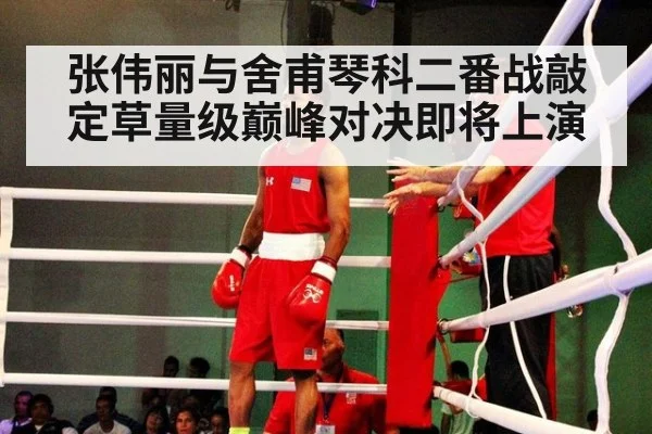 张伟丽与舍甫琴科二番战敲定草量级巅峰对决即将上演